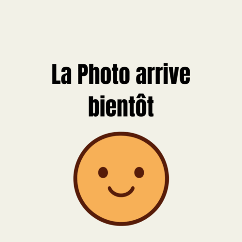 La Photo arrive bientôt Phyllium Bourquei Itogon