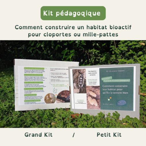 WhatsApp Image 2025-10-23 at 00.39.02(1) Kit pédagogique découverte Isopodes ou Iules