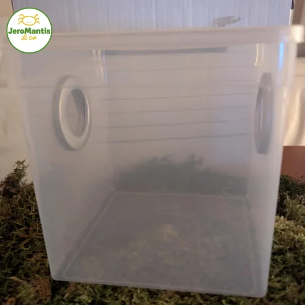 Braplast 5,8L