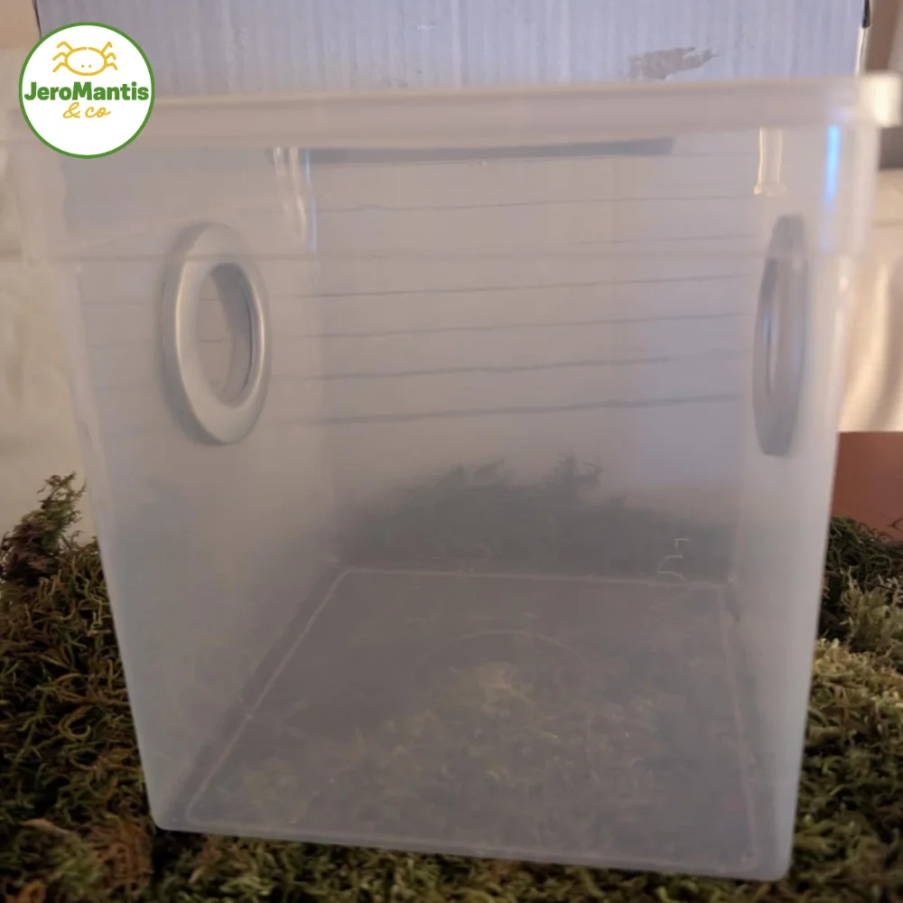 Habitat pour Insectes / petits Arthropodes / petites Araignées