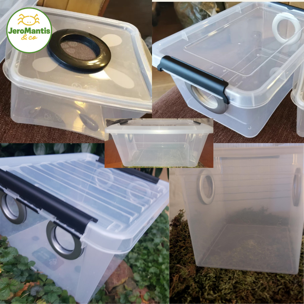 Habitat pour Cloportes / Arthropodes (5 Tailles)