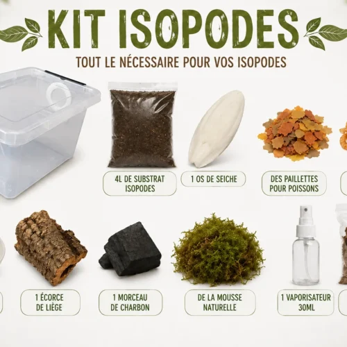 ChatGPT-Image-1-aout-2026-17_22_25 Kit Isopodes Grand Format