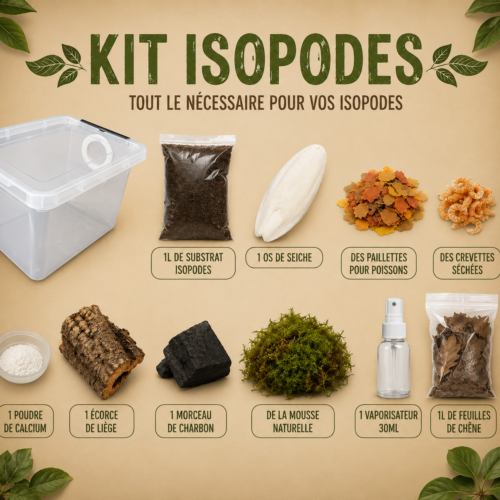 ChatGPT Image 8 août 2026, 09_57_49 Kit Isopodes Petit Format
